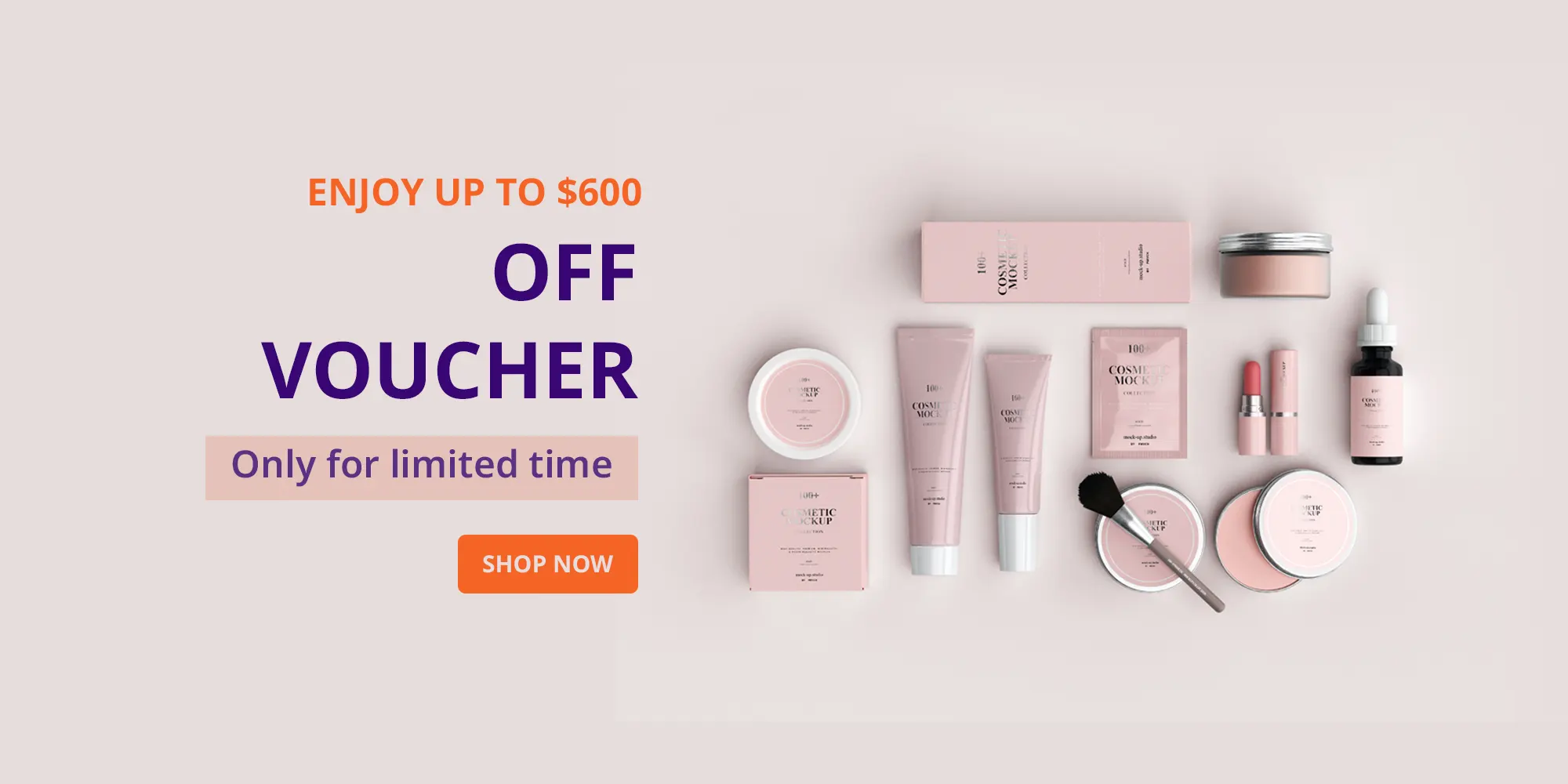 Black Friday Discount